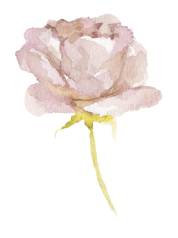 Online Catholic Therapy, pink rose
